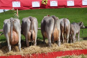 1Berlinda Durrer Arnold Kerns